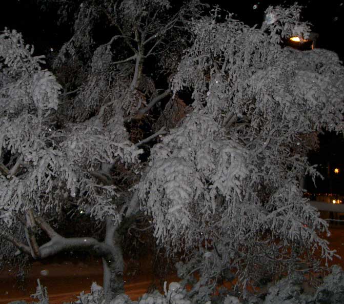 &Auml;ntligen vinter i Holmsund
